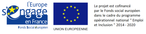 FSE euro