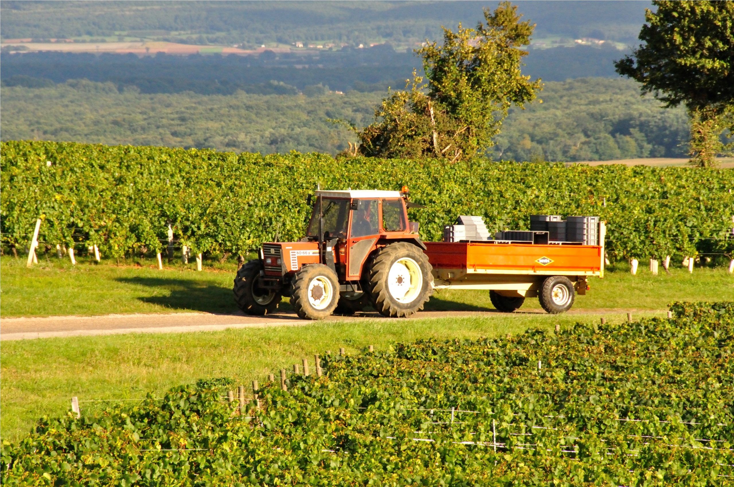 Panoramic image of a harvester