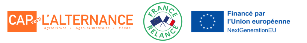 UE-France Relance-cva