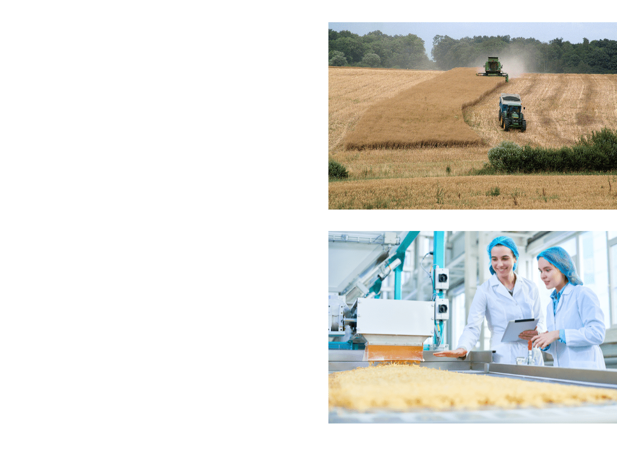 Agriculture et Agroalimentaire 