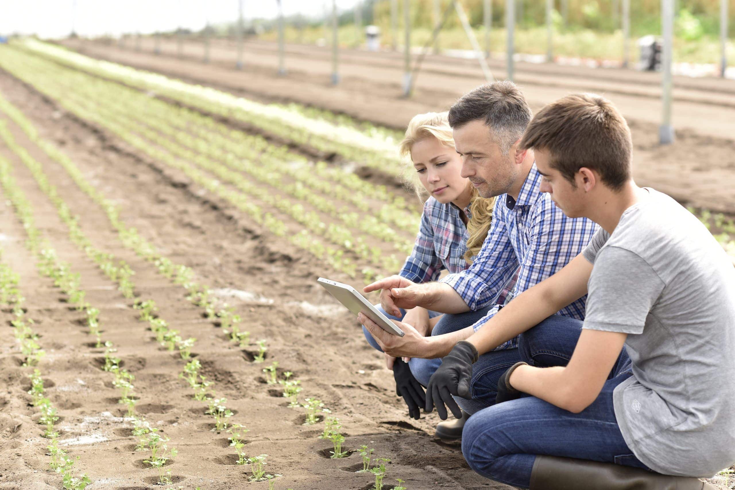 Students in agriculture learning about organic greenhouse