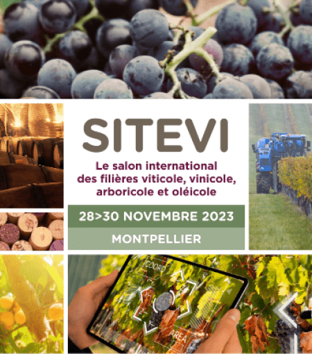 affiche sitevi
